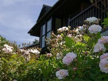 Barclay House Cottages Looe Bagian luar foto